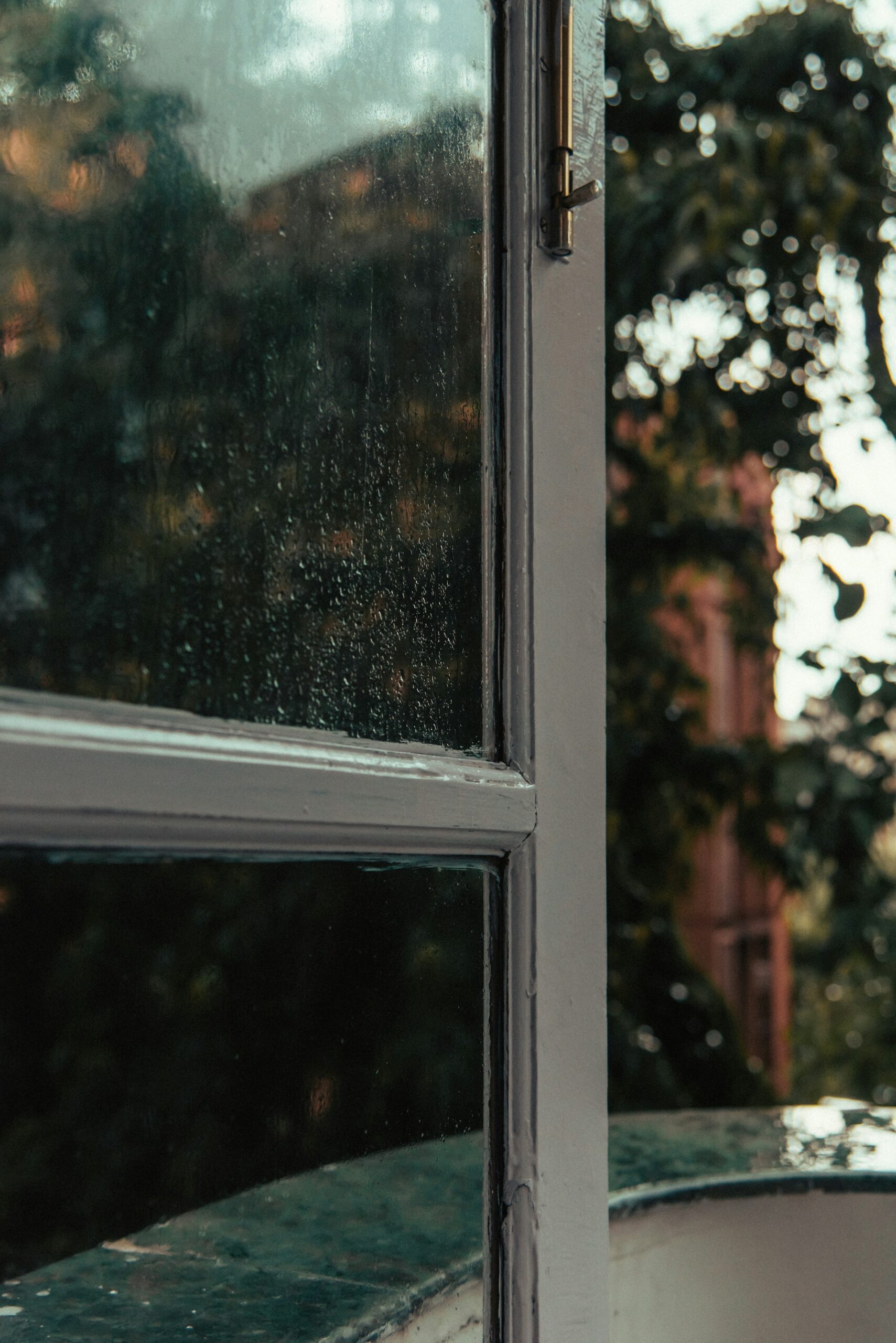 Interior & Exterior Window Washing